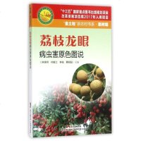 商城正版 荔枝龙眼病虫害原色图说 荔枝龙眼栽培种植技术大全书籍 荔枝龙眼树果树常见疾病诊断治疗病虫害防治技术