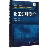 化工过程安全(教育部高等学校化工类专业教学指导委员会推荐教材)