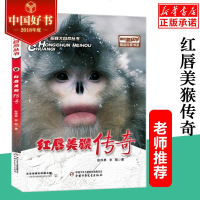 2018年度中国好书 红唇美猴传奇/探秘大自然丛书/我们爱科学精品 6-12岁儿童一二三年级小学生课外阅读书籍少儿科