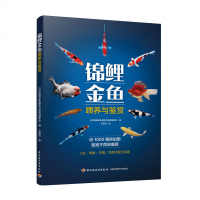 锦金鱼喂养与鉴赏 入养锦鲤金鱼的书 池塘养鱼观赏鱼养殖技术大全书籍 观赏鱼常见疾病防治 金鱼锦鲤书 实用喂养护理饲