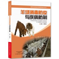 羊场消毒防疫与疾病防制 羊场经营管理书籍 养羊关键技术书籍 羊场经营书籍 养羊卫生管理员技能培训教材书籍 羊舍卫生消