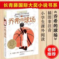 乔希的球场/长青藤国际大奖小说书系 第6辑 6-9-12-15岁中小学生课外阅读书籍 青少年儿童文学故事图书 晨光出