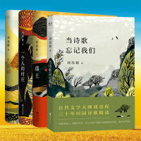 新书正版 刘亮程作品集4本 在新疆 一个人的村庄 虚土 当诗歌忘记我们 自然文学大师长篇小说 散文随笔 诗歌集中国