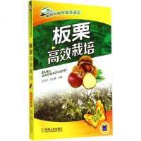 板栗高效栽培 无 著作 王天元 等 主编 农业基础科学专业科技 新华书店正版图书籍 机械工业出版社