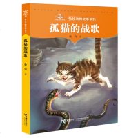 [正版 ]牧铃动物文学系列:孤猫的战歌 含插图牧铃著 少儿版儿童文学长篇小说 正版 书籍 接力出版社