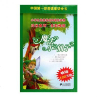 魔法小仙子(11册)