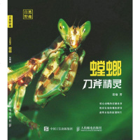 正版 斧精灵 螳螂 张瑜 昆虫学 书籍