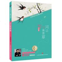 正版 河边青青草 安武林 儿童小说 书籍