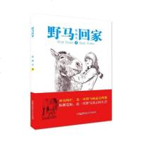 正版 野马回家 张赫凡 日记、书信 书籍