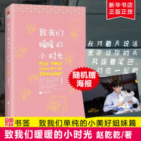 正版 ] 致我们暖暖的小时光 致我们单纯的小美好姐妹篇 赵乾乾著 邢菲 林一主演 原著青春文学校园爱情言情小说 销