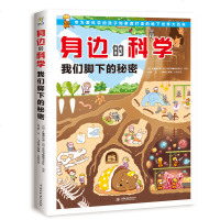 身边的科学 我们脚下的秘密 童书 科普百科 探索我们平时用眼睛看不到的地下世界的奥秘 儿童生活百科全书小学生少儿科普