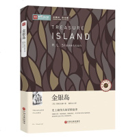 新悦读之旅 金银岛(青少年版)/世界经典文学名著博览 儿童小说故事书 学生阅读课外书 儿童书籍图书世界名著 青少年阅