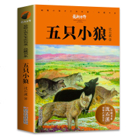 正版 五只小狼 动物小说大王沈石溪品藏书系 狼王梦后新作 6-12岁少年儿童文学经典童书籍 小学生课外阅读物