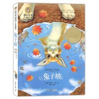 兔子坡 罗伯特·罗素 国际大奖 彩绘少年儿童文学新华书店书籍6-12岁3-9年级小学初中课外书阅读推荐 兔子坡正版T
