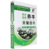 正版 《高效健康养羊关键技术》 羊养殖科学养羊技术大全 肉羊特种养殖 羊病诊治防治大全 养羊书籍养殖技术大全