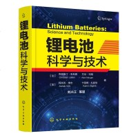 锂电池科学与技术 锂电池关键技术 锂离子电池正负极材料电池工艺 能量储存转化嵌入原理锂研究生产应用 电解质隔膜纳米技