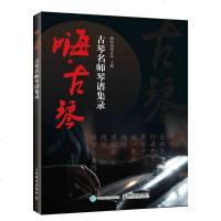 正版书籍 嗨 古琴 古琴名师琴谱集录 嗨的国风音乐 艺术 音乐 弹拨乐器/弹拨弦乐器 古琴初学者入教程书零基础