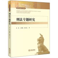 官方正版 法律图书 刑法专题研究 朱炜 石聚航 郭小亮著 法律出版社 法律咨询律师咨询服务律师出庭辩护参考法律图