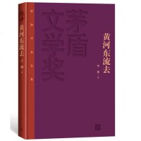 正版书籍 黄河东流去 精装版 李凖著 描写了黄泛区人民从一九三八年到一九四八年经历的深重灾难和可歌可泣的斗争 人民文