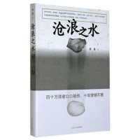 [正版书籍 拍下即发]沧浪之水 阎真著 人民文学出版社 中国文学 文学小说 活着之上 一部令人惊骇的小说 有一种