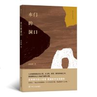 正版新书 水的洞口 黄国峻 张大春推荐台湾青春文学华语经典文学长篇爱情凄苦现实小说现代随便散文书籍 hl