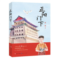正版 正阳下 史雷著 继将军胡同之后,再次谱写出一部家国传奇故事和丰富