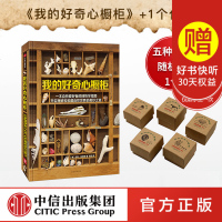我的好奇心橱柜图书+1个化石(5种化石随机发货1种) 中信出版社图书 书 正版书籍