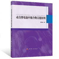 动力锂电池中聚合物关键材料 崔光磊著锂离子电池工作原理高分子聚合物材料动力锂电池应用技术教程动力锂电池的组装工艺教程
