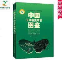 正版 中国玉米病虫草害图鉴 王晓鸣 玉米种植书病虫害及其防治书籍 中国农业出版社