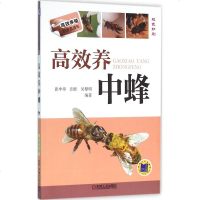 高效养中蜂 张中印,古挺,吴黎明 编著 著作 畜牧/养殖专业科技 新华书店正版图书籍 机械工业出版社