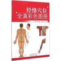 经络穴位全真彩色图册 郭长青,刘乃刚,杜宁宇 主编 著作 中医生活 新华书店正版图书籍 中国中医药出版社