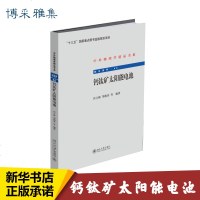 钙钛矿太阳能电池 肖立新 等 专业科技 电子、电工 电子电路 新华书店正版图书籍北京大学出版社