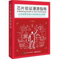 芯片验证漫游指南 刘斌 著 计算机软件工程(新)专业科技 新华书店正版图书籍 电子工业出版社