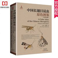 正版 中国长翅目昆虫原色图鉴 中英文对照 王吉申花保祯 昆虫鉴别指南书 长翅目昆虫分类研究书籍 昆虫学书籍