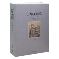 巴黎圣母院 全译本 无删节 雨果 原版原著中文版(巴黎圣母院(全译本)/世界文学名著 巴黎圣母院正版 世界名著书