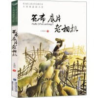 花布底片老相机 王勇英 著 著作 绘画/漫画/连环画/卡通故事少儿 新华书店正版图书籍 福建少年儿童出版社