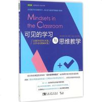 可见的学习与思维教学 (美)玛丽·凯·里琪(Mary Cay Ricci) 著;林文静 译 育儿其他文教 新华书店正