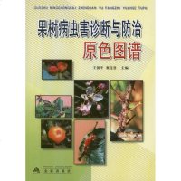 果树病虫害诊断与防治原色图谱 王国平 编 专业科技 农业科学 农业基础科学 新华书店正版图书籍金盾出版社