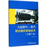 大型燃气-蒸汽联合循环发电技术三菱F级 金成 编著 建筑/水利(新)专业科技 新华书店正版图书籍 中国电力出版社