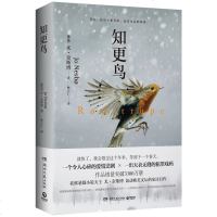 正版 知更鸟尤奈斯博 一个令人心碎的爱情悲剧一出天衣无缝的犯罪戏码 恐怖悬疑惊悚犯罪侦探破案小说外国文学奈斯博的