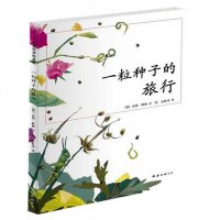 正版促销 一粒种子的旅行(荣获德国儿童图书Luchs大奖,德国青少年文学科普大奖杰作)畅销儿童科普绘本故事书籍 著名