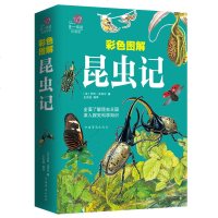 【彩图版】彩色图昆虫记儿童百科全书动物科普书籍小学生青少年版课外阅读7-10岁一年级二年级课外动物科普书籍青少年版课