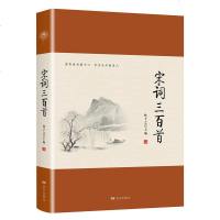 正版 宋词三百首国古诗词鉴赏 中国古诗词大全集 诗词集 中国古代诗词 文学鉴赏辞典 文学类书籍 中国现当代诗词