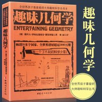 趣味几何学 正版 全世界孩子喜爱的大师趣味几何学从书 轻松学好几何新奇、有趣、充满想象力的几何学玩耍手册书