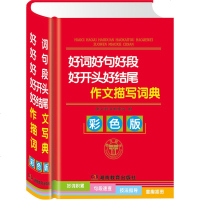 好词好句好段好开头好结尾 作文描写词典 彩色版 2017小学生工具书大全 好词积累 句段速查 技法指导 童趣插画 小