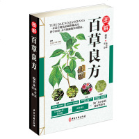 中药书籍图解百草良方彩色图鉴药书中医基础入中药材药方中医养生保健正版书籍中草药中药材彩色图谱附偏方药方本草纲目中医