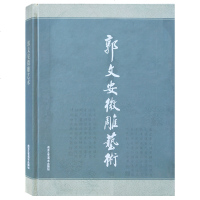 正版 郭文安微雕艺术 传统工艺玉雕雕刻技法作品集 微雕 中国传统工艺美术 传统工艺书籍 工艺饰品 北京工艺美术出版社