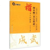 正版 楷书入教程 颜真卿多宝塔碑 基本笔法偏旁部首名家名碑帖 经典书法 学生成人初学毛笔字帖书籍