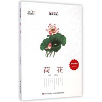 荷花/美绘经典系列 叶圣陶 著 少儿 少儿艺术(新) 新华书店正版图书籍吉林美术出版社