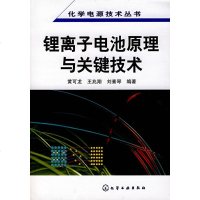 化学电源技术丛书--锂离子电池原理与关键技术 黄可龙//王 专业科技 精细化工 化学工业 新华书店正版图书籍化学工业